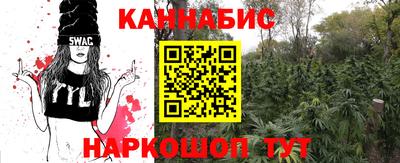 спиды Будённовск