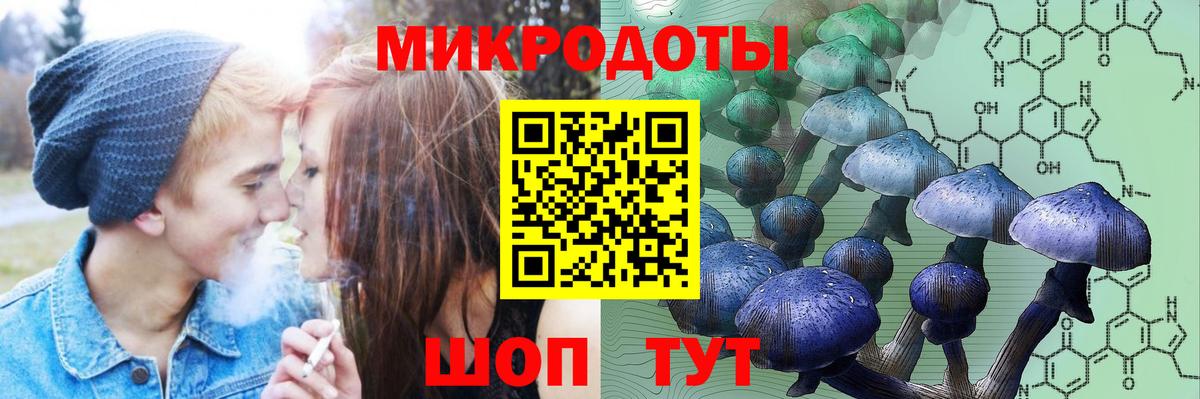 Черемхово  Галлюциногенные грибы Cubensis  Вход с VPN 