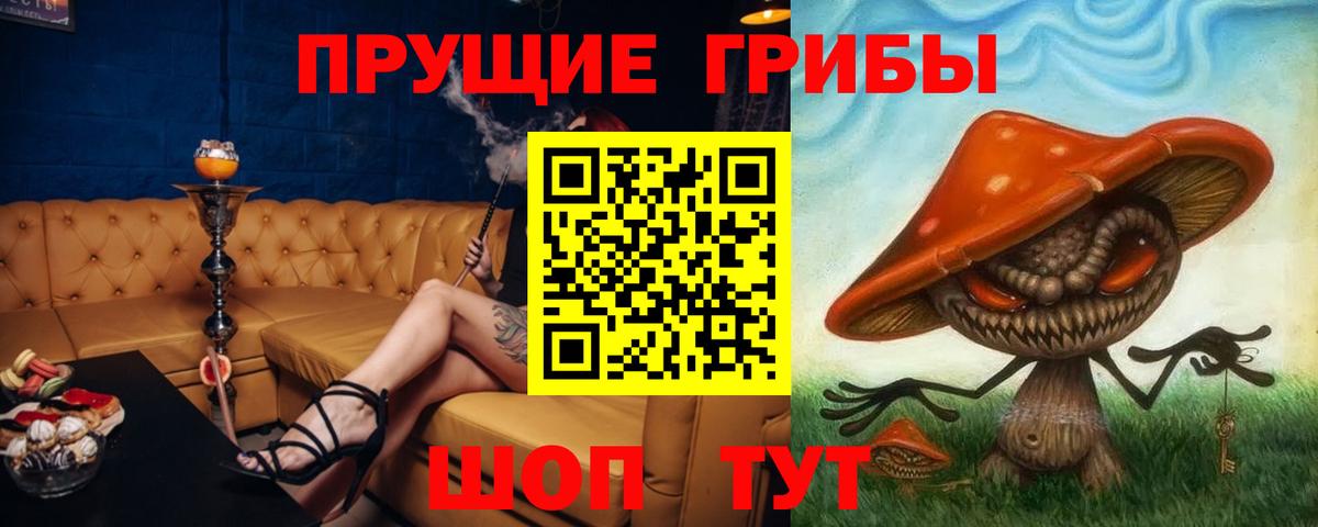 Псилоцибиновые грибы прущие грибы Черемхово